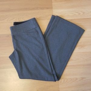 Express Editor dress pants with flare bottom
